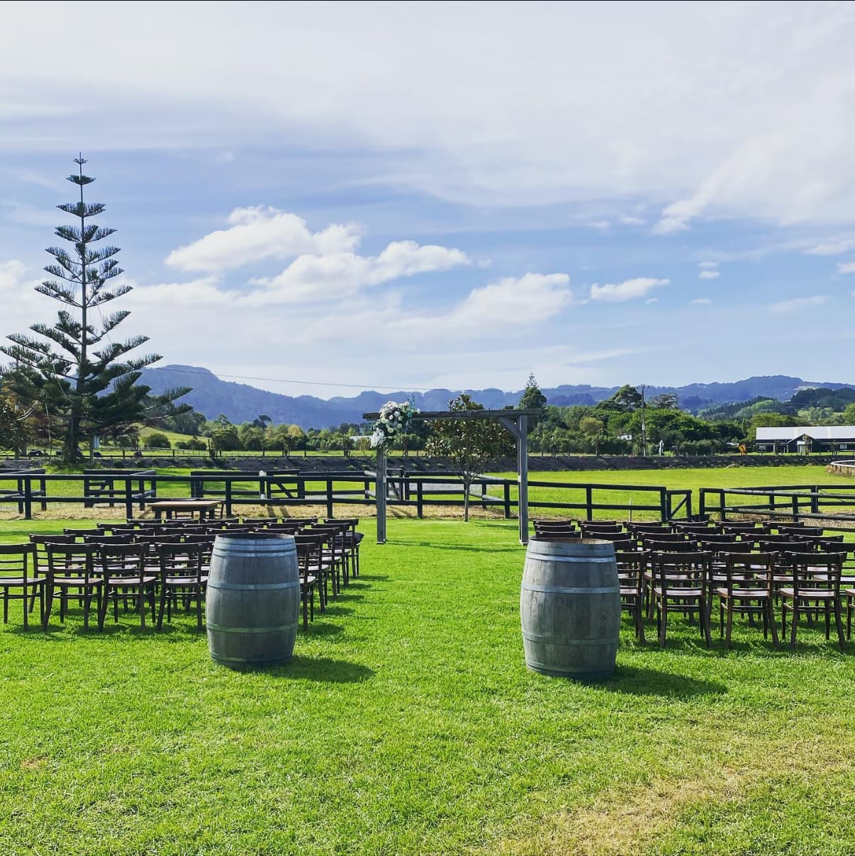 Sunlit outdoor wedding ceremony with white drapery arch